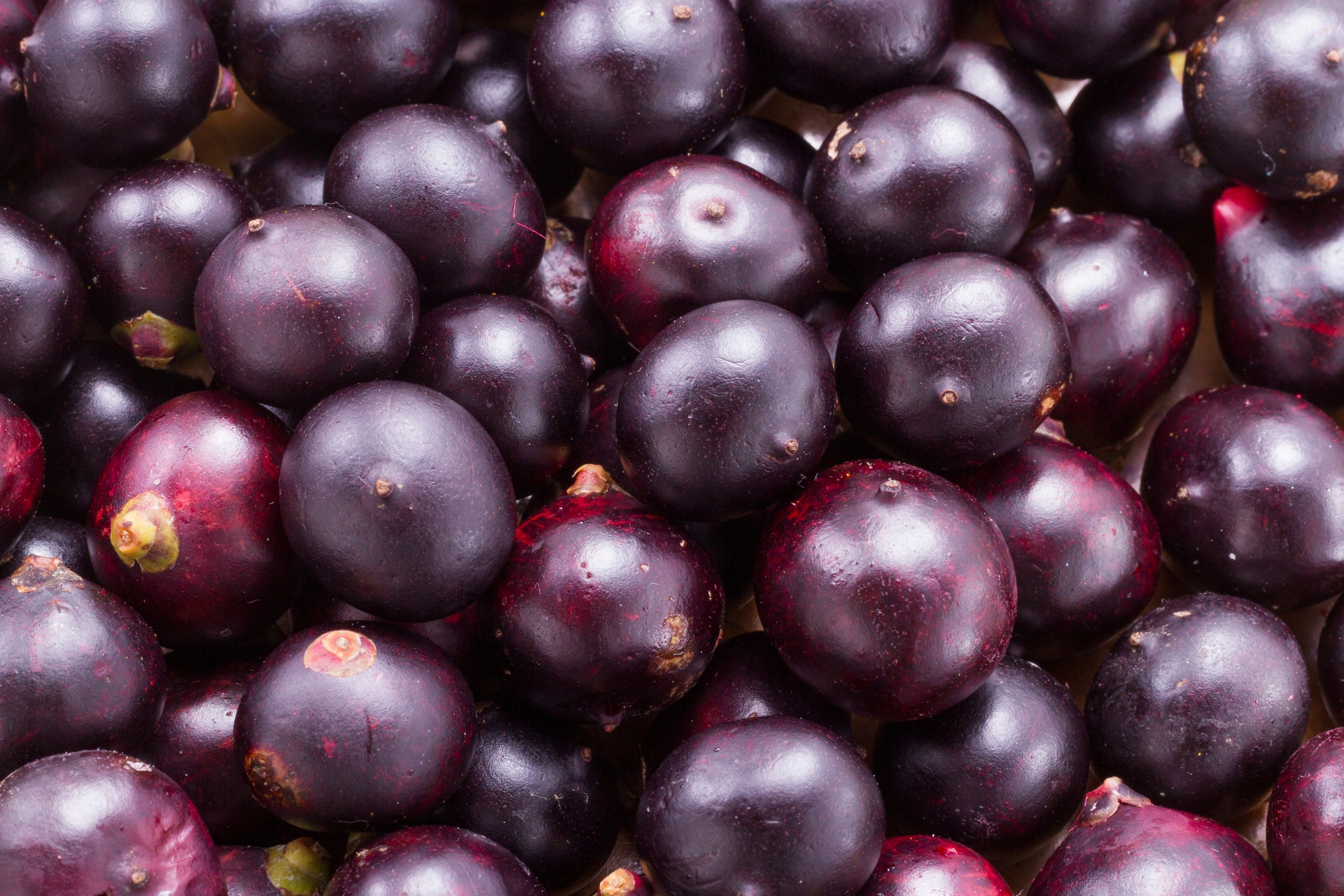 Oronia Açaí Berry Premium: Antioxidant Powerhouse for Energy, Immunity & Anti-Aging