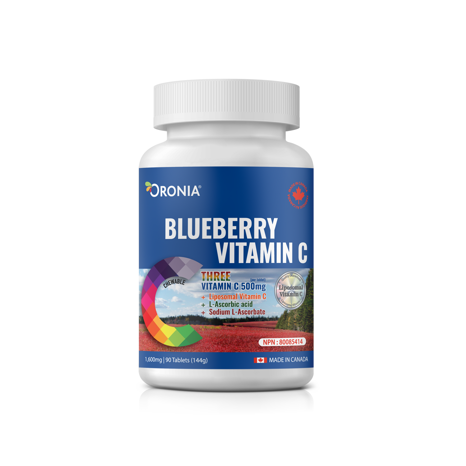 Blueberry Vitamin C 90 Tablets