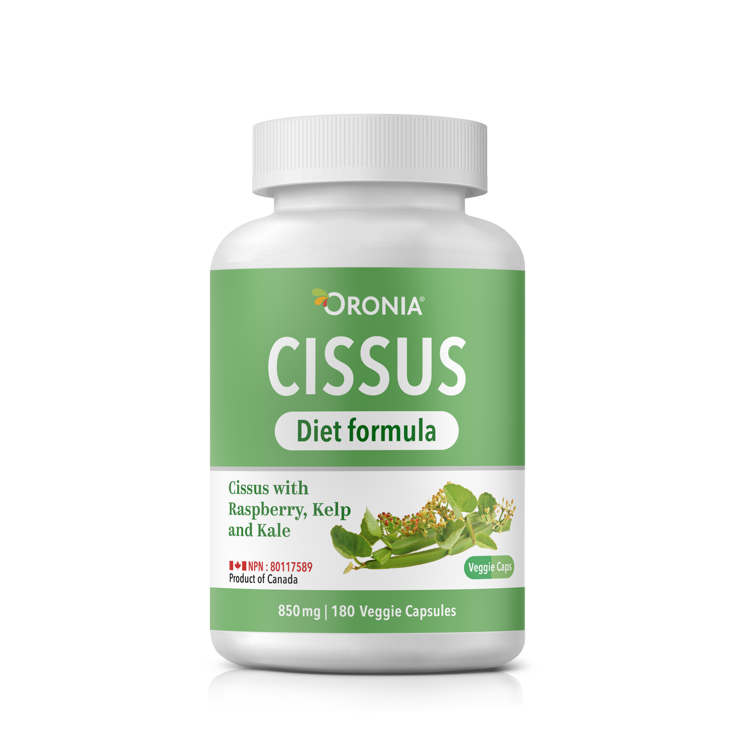 Cissus Diet Formula