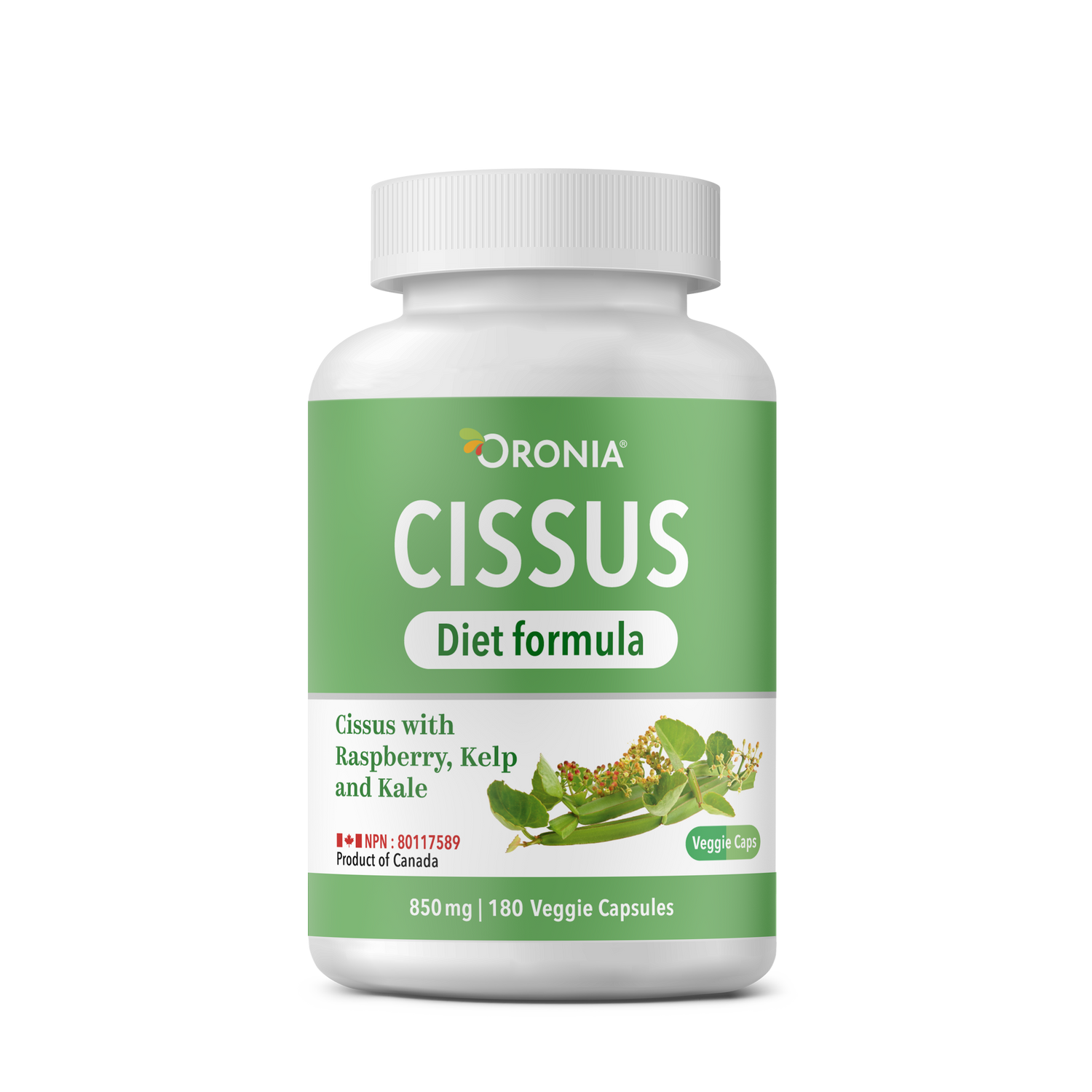 Cissus Diet Formula