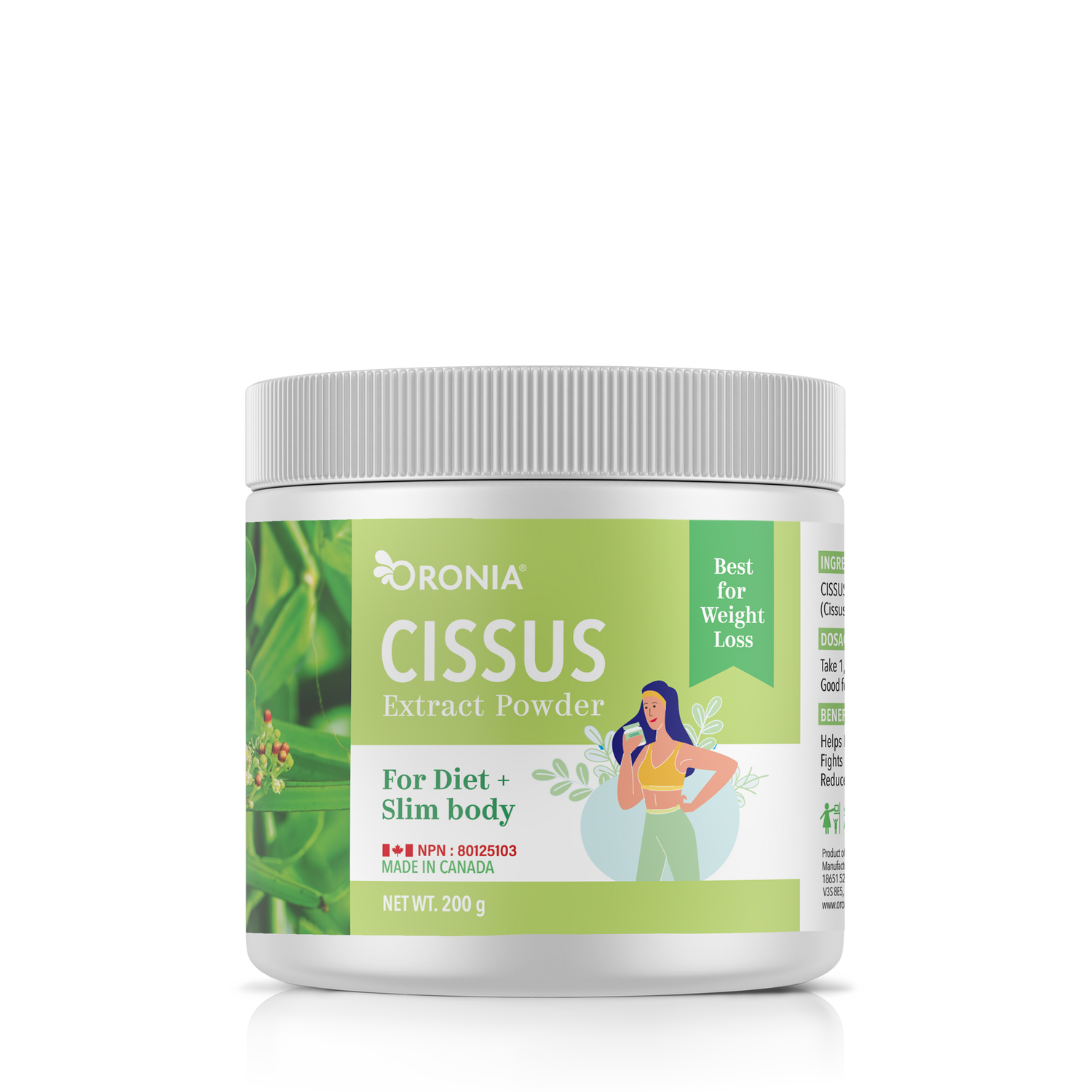 Poudre d'extrait de cissus